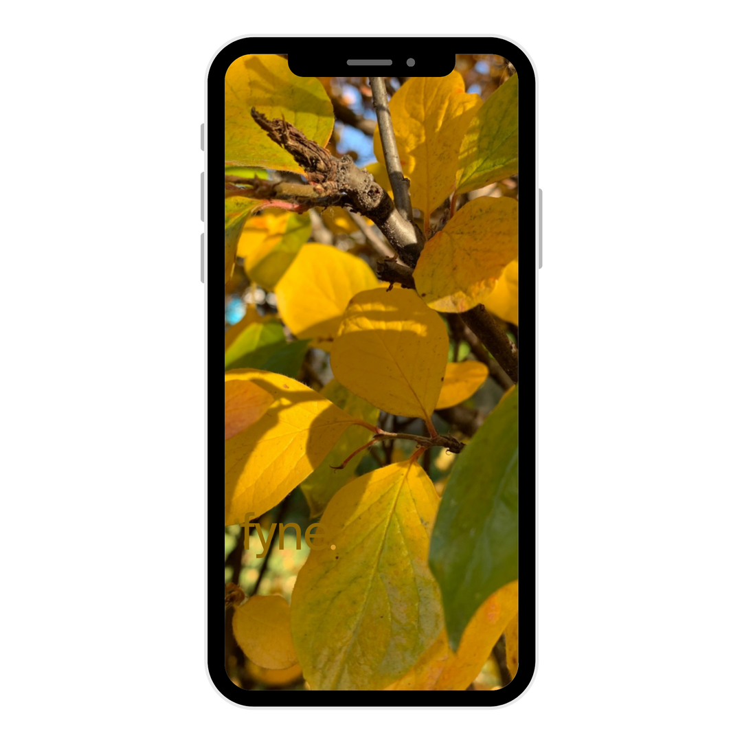 Fall Leaves Phone Wallpaper